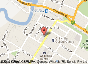 Go Vita Chinchilla Store